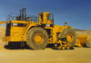 cat-994-f.jpg