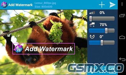 Add_Watermark_(gsmx.co).jpg