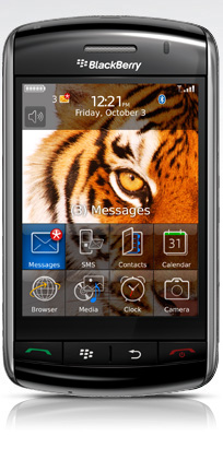 black-berry-storm-450.jpe