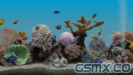 Marine_Aquarium_3_2_PRO_(gsmx.co).jpg