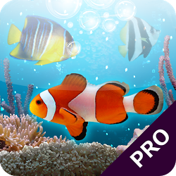 Marine_Aquarium_3_2_PRO_(gsmx.co).png