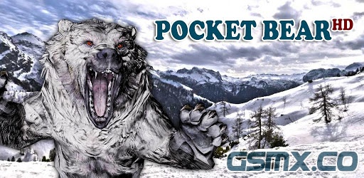 Pocket_Bear_HD_(gsmx.co).png