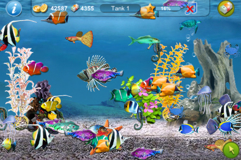 Tap-Fish.jpg